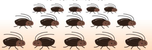 ゴキブリが夢に出た 意味や心理は 数や大きさで夢占いを解説 Edona Blog