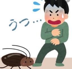 ゴキブリが夢に出た 意味や心理は 数や大きさで夢占いを解説 Edona Blog